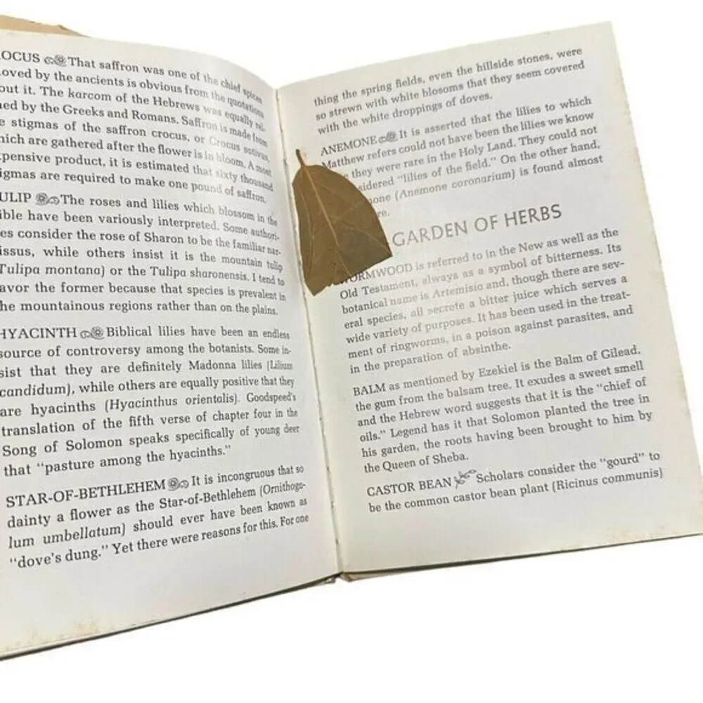 Plants of the‎ Bible  (1st Ed) by Louis Untermeyer, Anne Orphelia Dowden